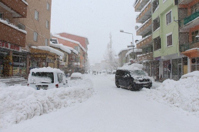 Van’da Kar Yağışı Hayatı Olumsuz Etkiliyor