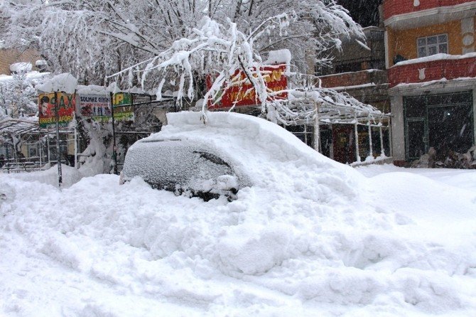 Van’da Kar Yağışı Hayatı Olumsuz Etkiliyor