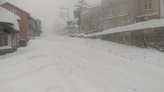 Zonguldak'ta kar hayatı felç etti