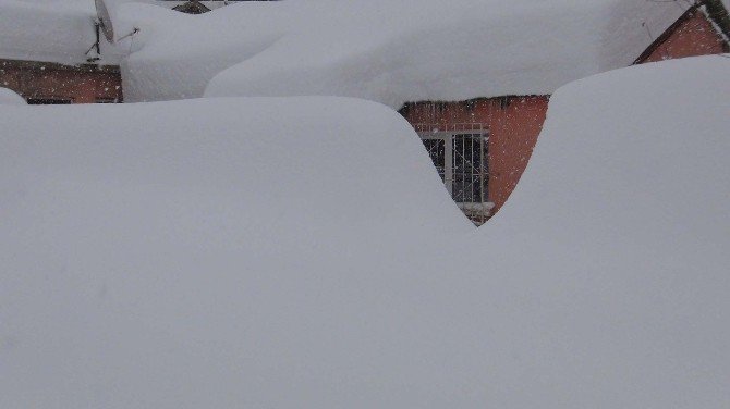 Bitlis’te TEK Katlı Evler Kar Altında Kayboldu