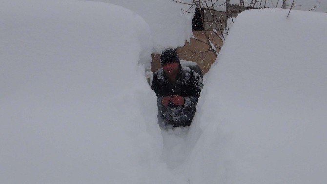 Bitlis’te TEK Katlı Evler Kar Altında Kayboldu