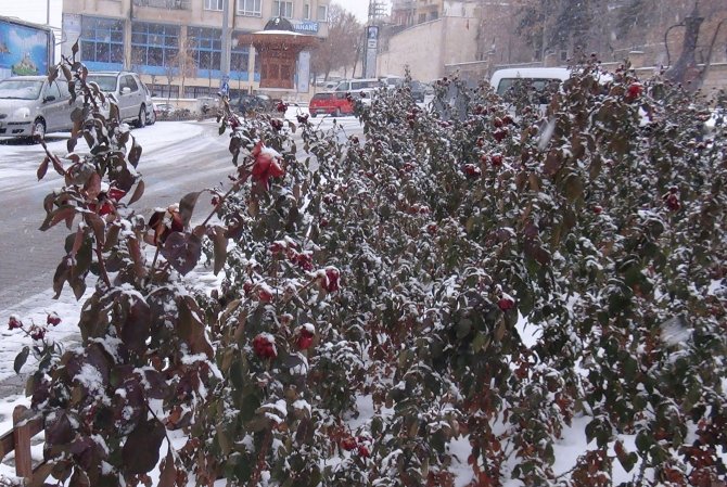 Nevşehir'de kar yeniden başladı