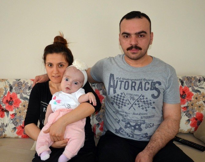 Cam Kemik Hastası Efsa Bebek Yardım Bekliyor