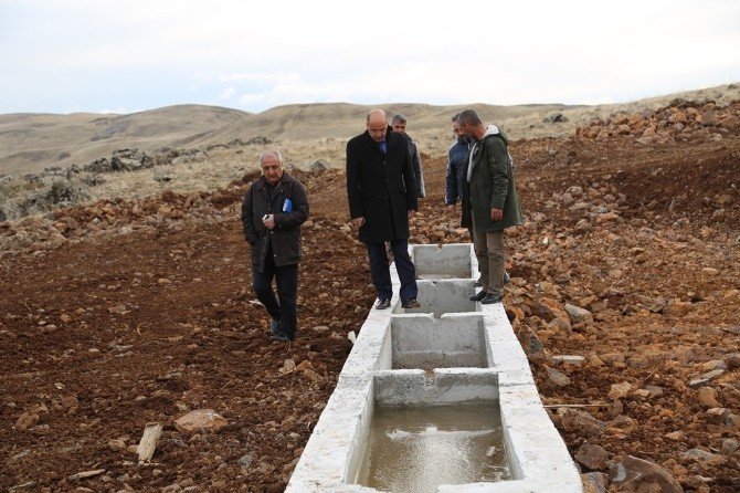 Tunceli’de Hayvan İçme Suyu Projesi Tamamlandı