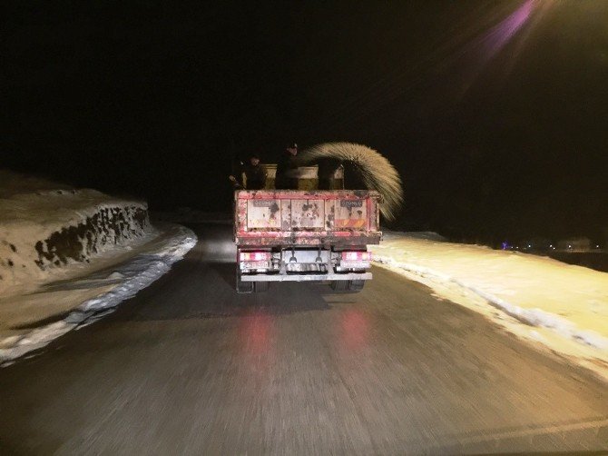 Serdivan Belediyesi Kar Timleri Yolları Açık Tuttu