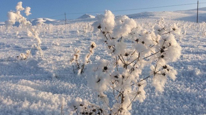 Van’da Sibirya Soğukları Hüküm Sürüyor