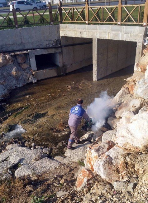 Manavgat’ta Sinekle Larva Döneminde Mücadele