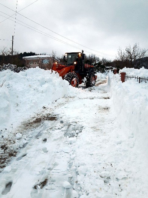 Bozkurt İlçesinde Köy Yollarının Yarısı Ulaşıma Açıldı