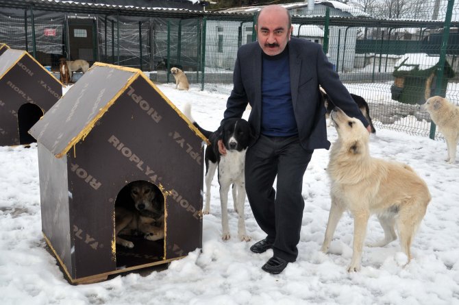 Edirne'de sokak hayvanları kaloriferli ortamda kalıyor