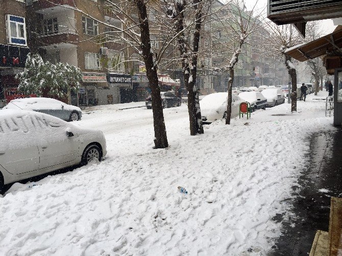 Diyarbakır’da ‘Kar’ Esareti
