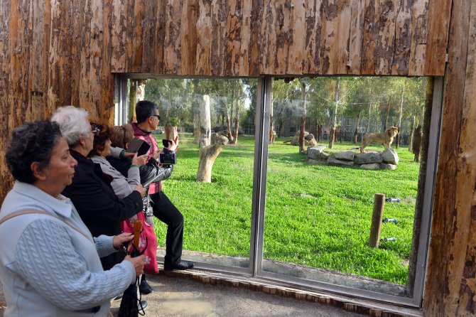 İzmir Doğal Yaşam Parkı'nda yeni ziyaretçi rekoru