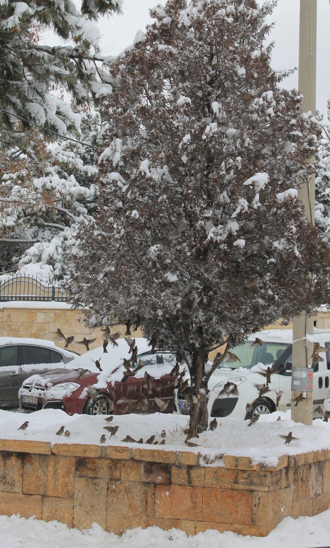 Kar yağışı Sivas’ta kara ve hava ulaşımını aksattı