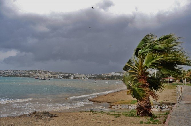Dereler Ters Aktı, Deniz Trafiği Durdu