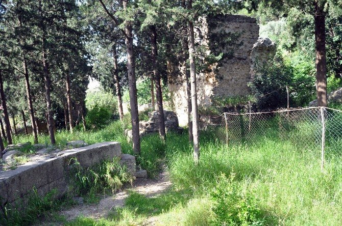 Tarihçi Yazar Abdurrahman Kütük: