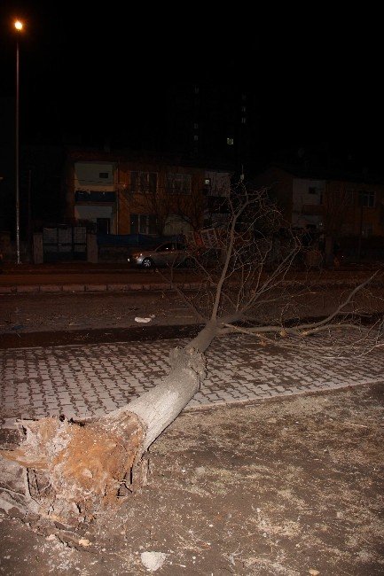Kayseri’de Şiddetli Rüzgar Ağaç Devirdi, Çatı Uçurdu