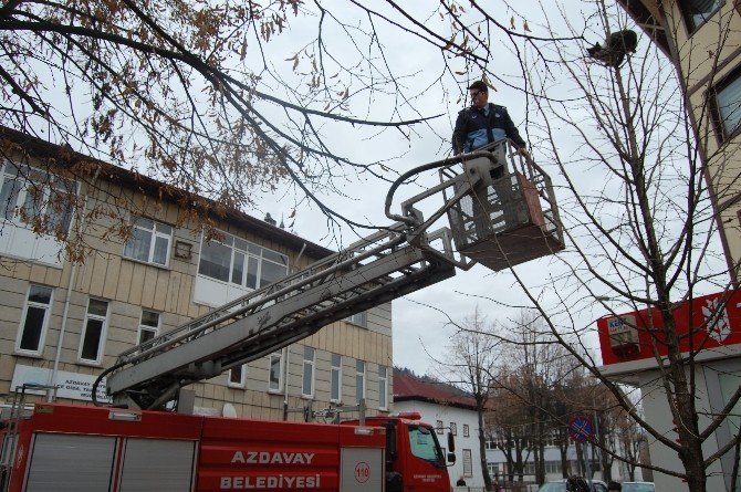 Azdavay’da İtfaiye’nin Kedi Kurtarma Operasyonu