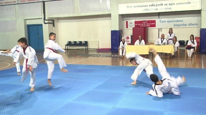 Düzce’de Taekwondocular Kuşak İçin Kapıştı