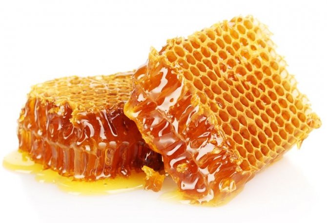 Türkiye'nin ilk apiterapi merkezi Erzurum'da kurulacak