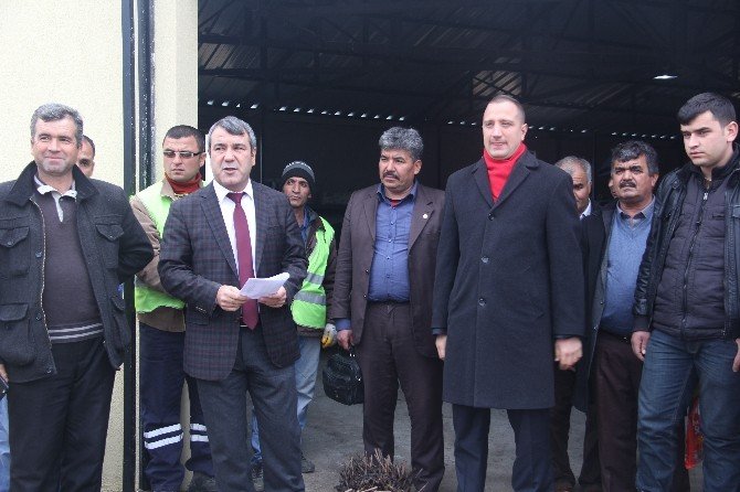 Mut Belediyesi Çiftçiye 70 Bin Asma Anacı Fidanı Dağıttı