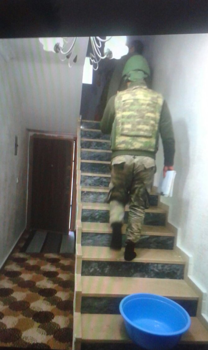 Nusaybin'de 5 eve baskın yapan jandarma arama yaptı