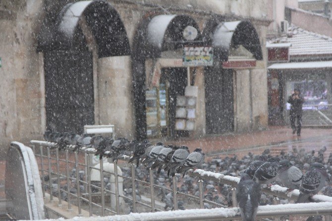 Bolu’da Kar Yağışı Etkili Oldu