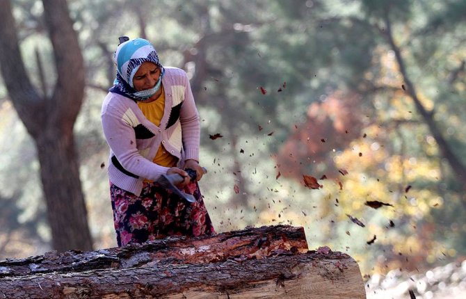 Orman köylüsüne 62 milyon liralık destek sağlandı