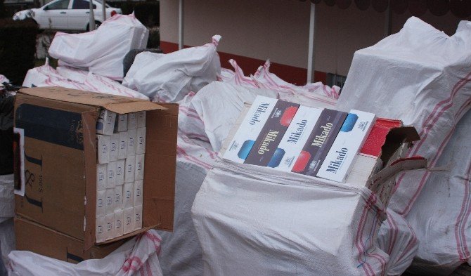 Fıstık Kabuğu Arasından 50 Bin Paket Kaçak Sigara Çıktı