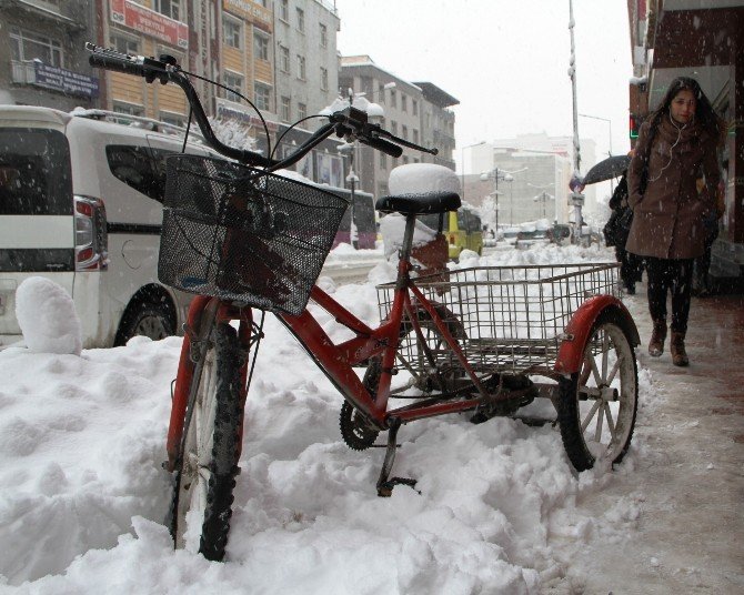 Van’da Kar Yağışı Hayatı Felç Etti