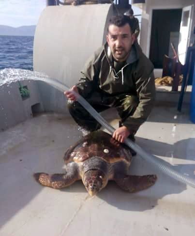 Marmara’da Balıkçıları Şok Eden Sürpriz....