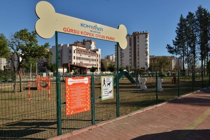 Konyaaltı Belediyesi Gürsu Köpek Oyun Parkı’nı Açtı