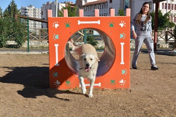 Konyaaltı Belediyesi Gürsu Köpek Oyun Parkı’nı Açtı