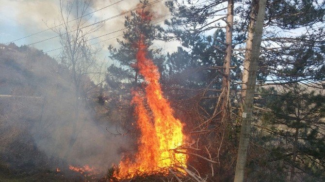 Kastamonu’da Orman Yangını