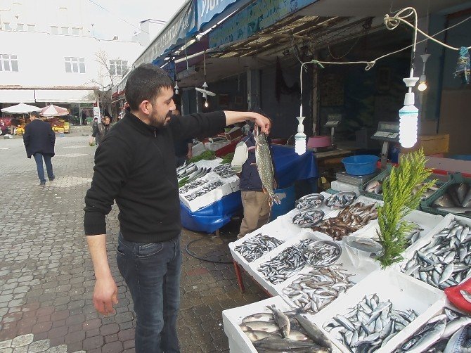 Balık Satıcıları Sezondan Memnun Değil