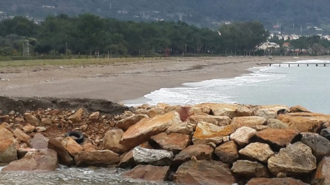 İzmir'de bir haftada 5 göçmenin cenazesi sahile vurdu