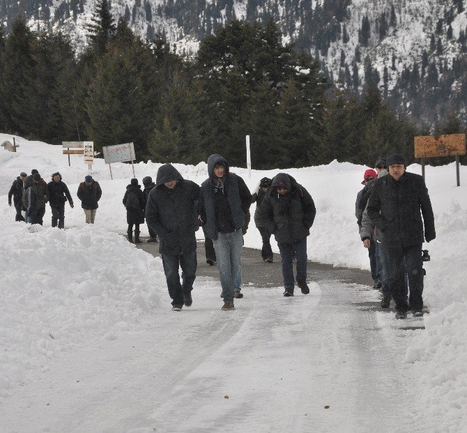 Doğaya Dikkat Çekmek İçin Kar Yürüyüşü Yaptılar