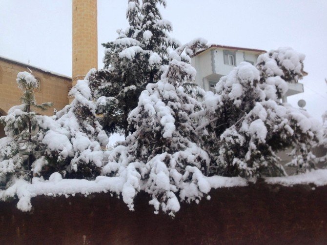 Adana’nın Kuzey İlçesinde Kar Esareti