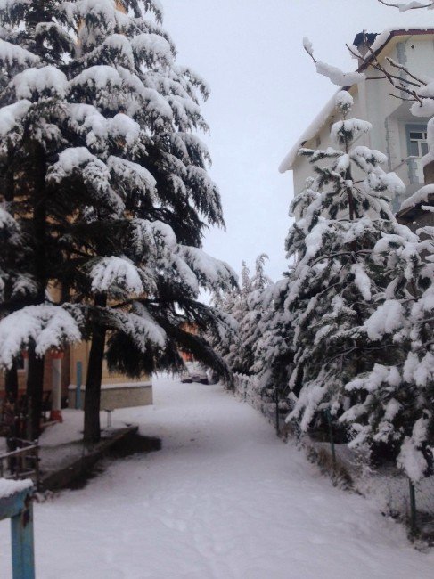 Adana’nın Kuzey İlçesinde Kar Esareti