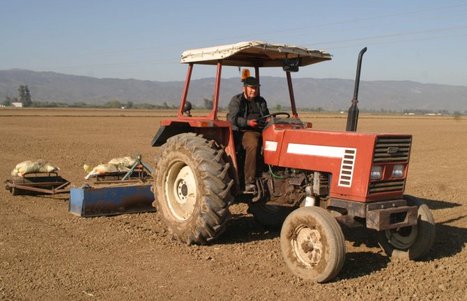 Söke Ziraat Odası Başkanı Kocabaş: KDV indirimi çiftçi ve üreticiye yansımadı