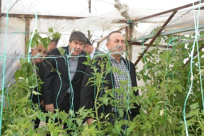 Bakan Çavuşoğlu’ndan Hortumdan Zarar Gören Çiftçilere Müjde: