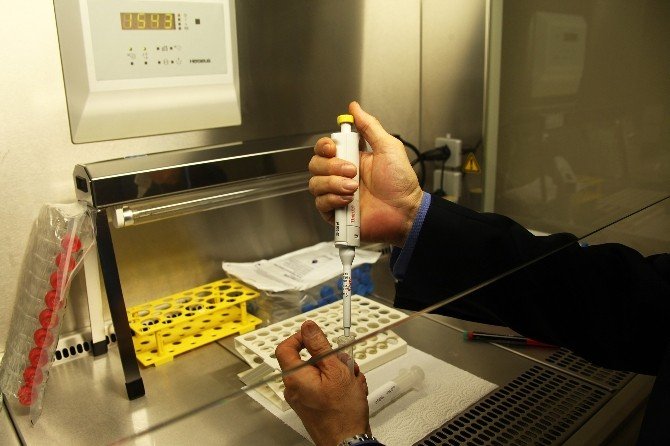 Anne Karnındayken Bebeğinizin Sağlığını Merak Ediyorsanız