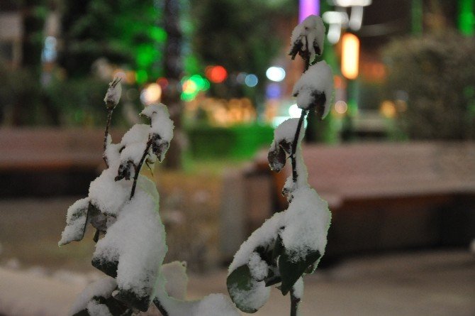 Erzincan’da Kar Yağışı Devam Ediyor