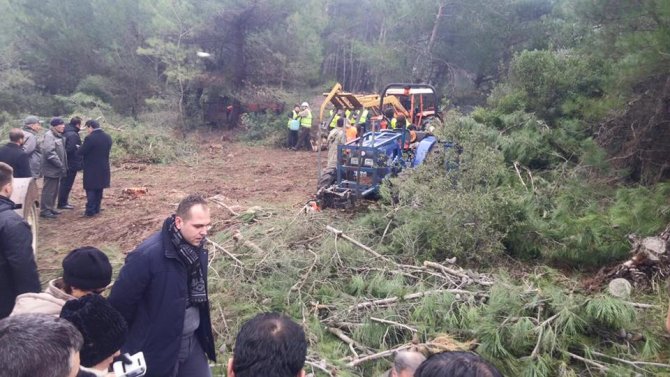 CHP’liler ağaç katliamı yapılan Ovacık’a gitti, kesim durdu