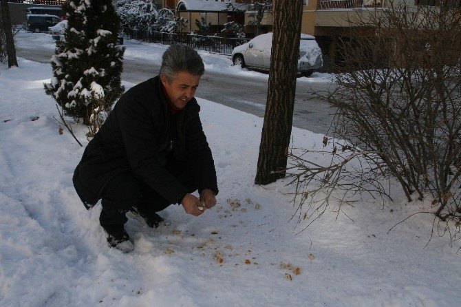 Yozgat’ta Vatandaşlar Kuşları Ve Sokak Hayvanlarını Unutmuyor