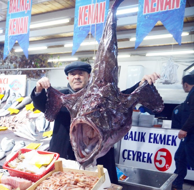 Marmara’da dev Fener balığı yakalandı