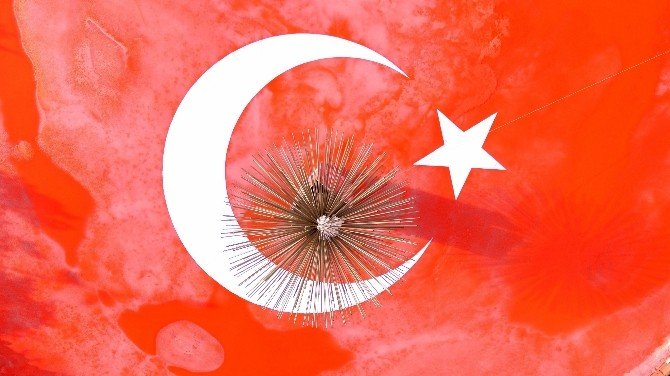 Buzdan Dev Türk Bayrağı