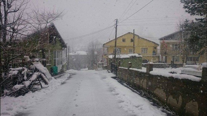 Alaplı’da Köy Yolları Kardan Kapandı