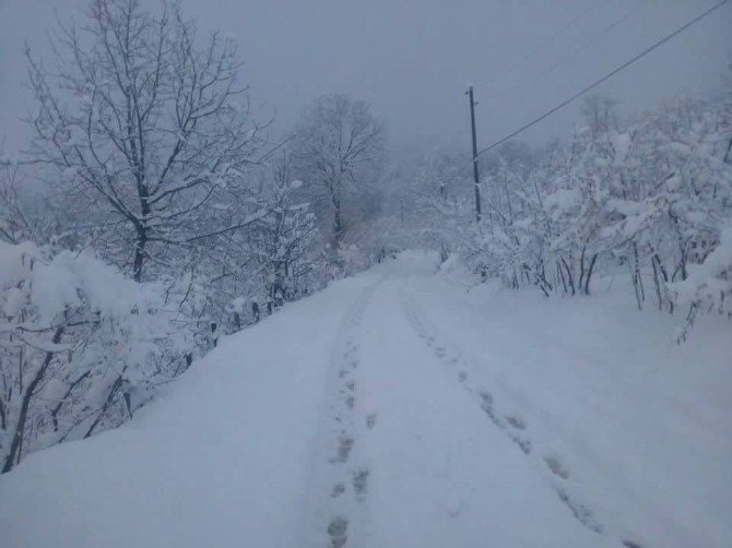 Alaplı’da Köy Yolları Kardan Kapandı