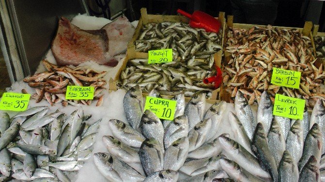 Kar Karadeniz’e Düştü, Balık Fiyatları Uçtu