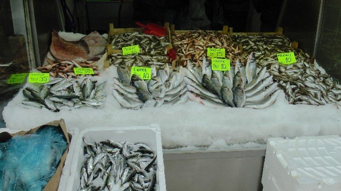 Kar Karadeniz’e Düştü, Balık Fiyatları Uçtu