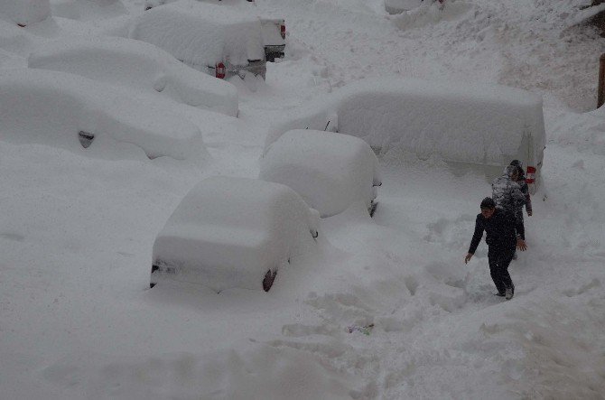 Bitlis’te Kar Yağışı Hayatı Olumsuz Etkiliyor
